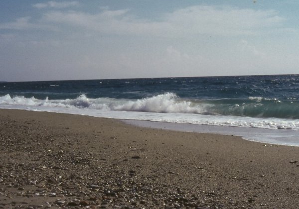 06-Arbatax