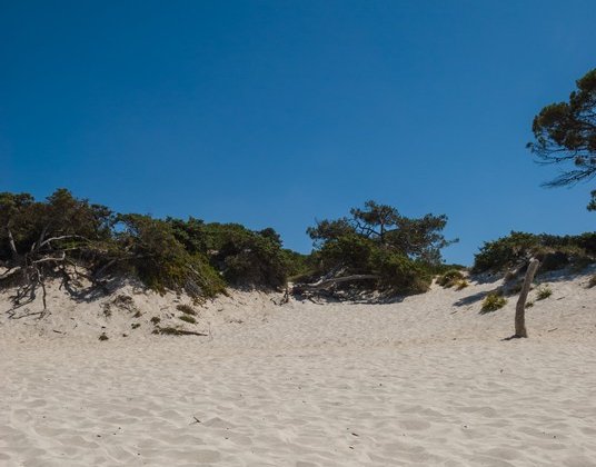 Spiaggia-MariaPia