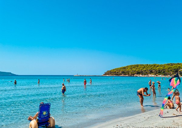 Porto-Pino