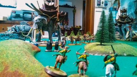 Torneo-di-Roverbella-2015